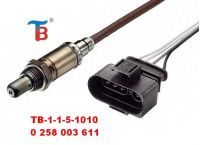 Oxygen Sensor