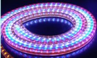 Flexible LED Strip Light, Waterproof, 5M 150pcs 5050 SMD