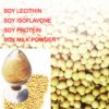 lecithin