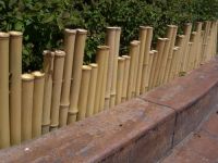 straight bamboo poles