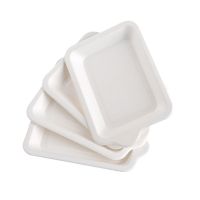 Customizable  Microwave Heated Corn Starch  Biodegradable Tray And Plate