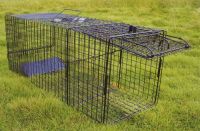 Raccoon Animal Trap different sizes