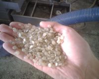 Recycled LDPE pellets