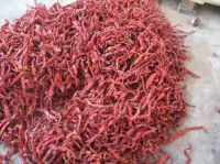 sell dried chilli