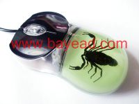 insect amber crafts and gifts, novelty, promotion gifts, office gifts