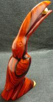 handmade exotic wood toucan cocobolo