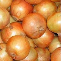 Yello Onion