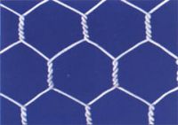 hexagonal wire mesh