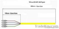 SC/PC optical fiber patch cord