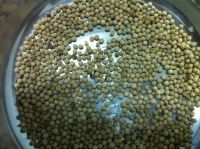 WHITE PEPPER DOUBLE WASHED 630G/L