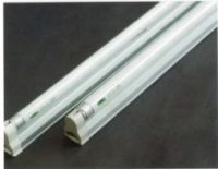 T5 Fluorescent Lamp