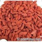 Wolfberry Extract