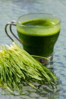 Wheatgrass powder