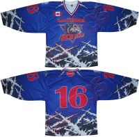 Ice Hockey Jersey / Sports Wear Jersey For Ice Hockey Team