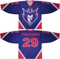 Ice Hockey Jersey / Sports Wear Jersey For Ice Hockey Team