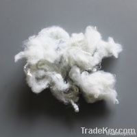 Polyester Staple Fiber