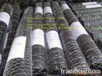 Hexagonal wire mesh