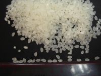 chinese round grain rice