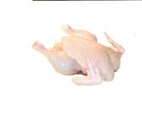 Chicken Frozen