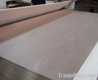 Okume face/back commercial plywood 18mm good quality
