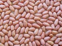 peanut kernels(long type)
