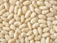 blanched peanut kernels(long type)