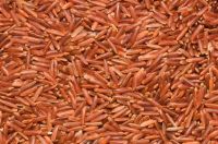 Red Rice