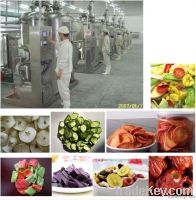 Vegetable and Fruit Chips Production Line