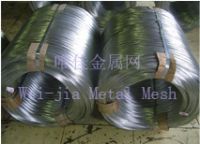 Galvanized Wire