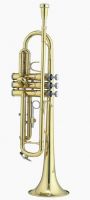 Bb Trumpet(GTR-890)