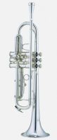 Bb Trumpet(GTR-300S)