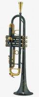 Bb Trumpet(GTR-510BN)