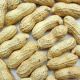 peanuts in shells, blanched peanuts kernels, peanuts kernels