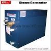 Steam Generator with CE