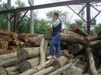 teak wood from thailand and burma