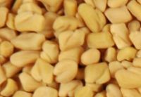 Fenugreek Seed