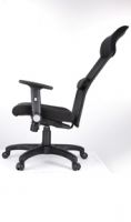 Ergonomic Mesh Chair