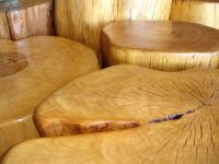 Tree Stump Tables