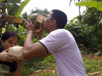 COCONUT-PHILIPPINES