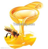 Chinese pure and natural honey new crop bulk on sale