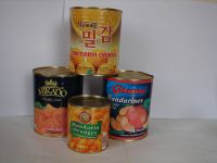 https://www.tradekey.com/product_view/Canned-Mandarin-Orange-1119443.html