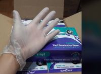 Glove Latex Nitrile Disposable