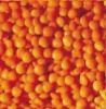 Red Lentils