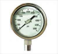 Seismic Resistant Gauge