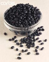 https://fr.tradekey.com/product_view/Black-Beans-1158881.html