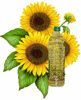 sunflower oil,cooking oil,refined sunflower oil,sunflower cooking oil,edible sunflower oil,sunflower seed oil,pure refined sunflower oil,