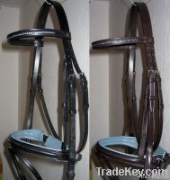 Leather Bridle