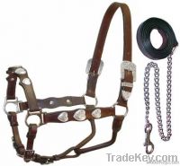 Horse Halter