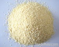 Dehydrated Garlic Granule