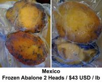 FROZEN ABALONE